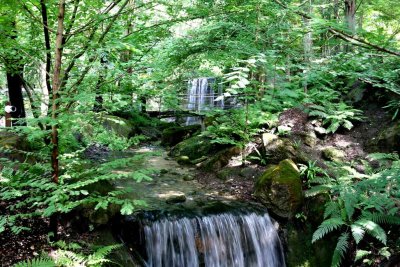 THE GARDENS OF CASTEL TRAUTTMANSDORF