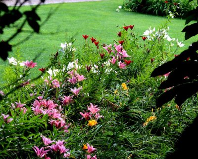 THE GARDENS OF CASTEL TRAUTTMANSDORF