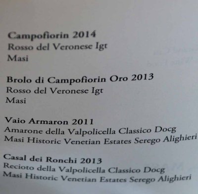 A VISIT TO SEREGO ALIGHIERI