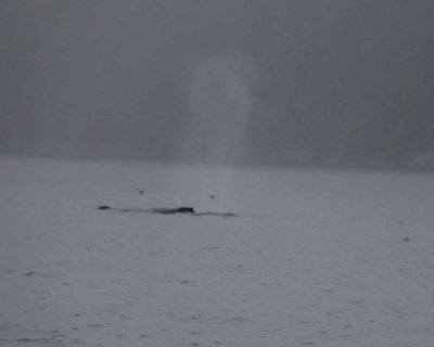 IMG_2820_edited-1.jpg