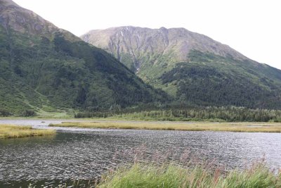 IMG_3019.jpg