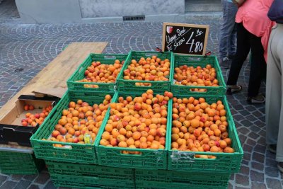 IMG_1398.jpg