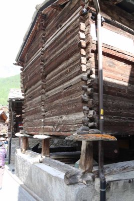 IMG_1447.jpg