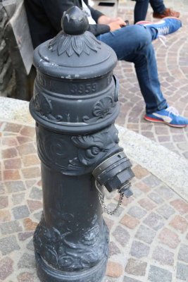 IMG_1453.jpg