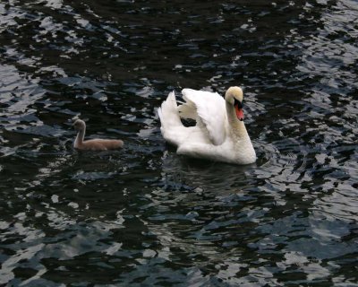 IMG_0785_edited-1.jpg