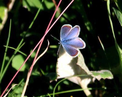 IMG_0837_edited-1.jpg
