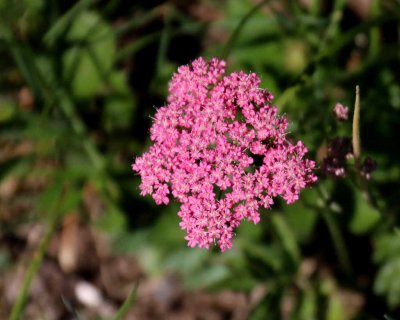 IMG_0839_edited-1.jpg