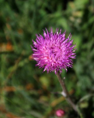 IMG_0845_edited-1.jpg