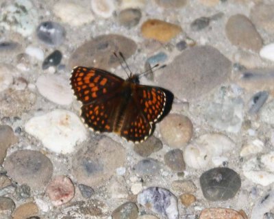 IMG_0880_edited-1.jpg