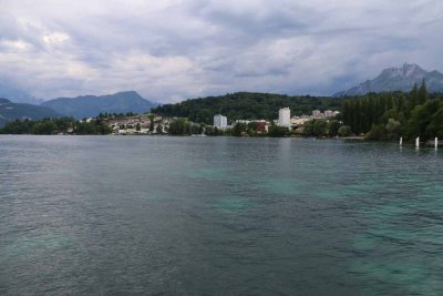 IMG_0980.jpg