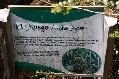 g10/68/971468/3/166920763.YPso77aI.jpg