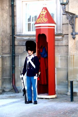 ROYAL LIFE GUARD