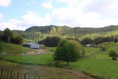 BEAUTIFUL COUNTRY SIDE EN ROUTE TO ROTARUA FROM TAUPO