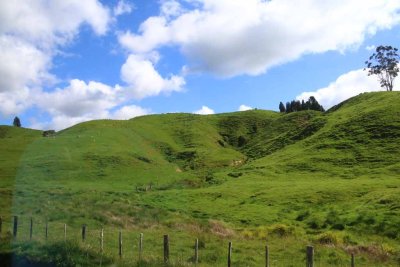 BEAUTIFUL COUNTRY SIDE EN ROUTE TO ROTARUA FROM TAUPO