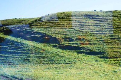 BEAUTIFUL COUNTRY SIDE EN ROUTE TO ROTARUA FROM TAUPO