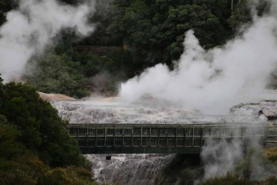 WHAKAREWAREWA GEYSER FIELD