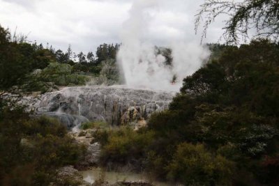 POHUTU GEYSER - THE LARGEST