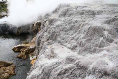 POHUTU GEYSER - THE LARGEST