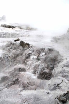 POHUTU GEYSER - THE LARGEST
