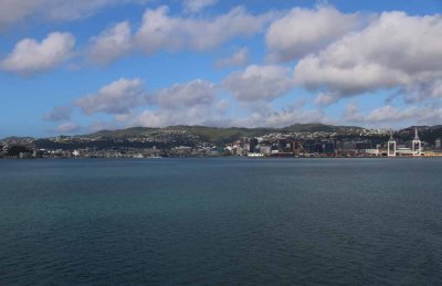 WELLINGTON IN OUR WAKE