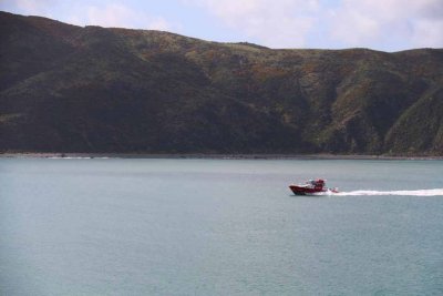 CROSSING THE COOK STRAIT