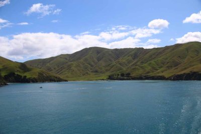 CROSSING THE COOK STRAIT