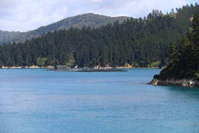 CROSSING THE COOK STRAIT