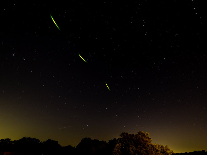 Theres A Starman -1298.jpg