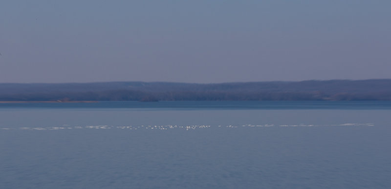 Turkey Point Winter Solstice Abstract 2-4242.jpg