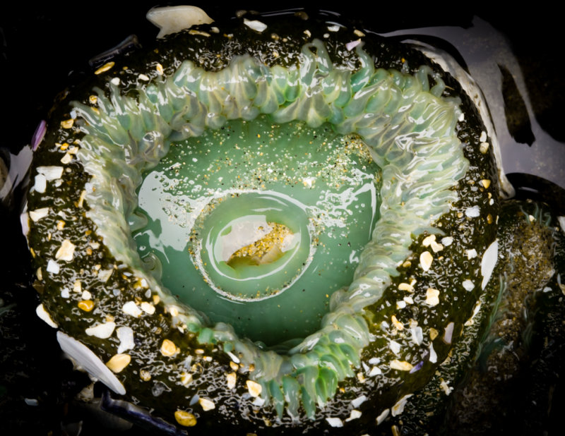 The Dragon Eye-3332.jpg
