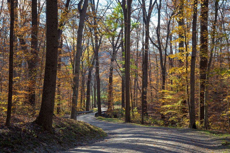 Fairhill in November-6456.jpg