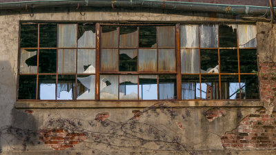 The Panes of Aging-1345.jpg