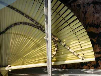 The Fan-1353.jpg