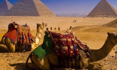 Egypt Private Tour Packages
