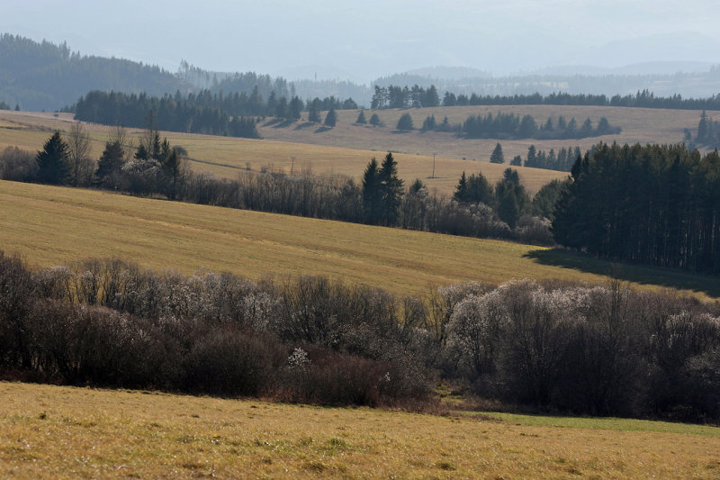 Landscape in Slovakia