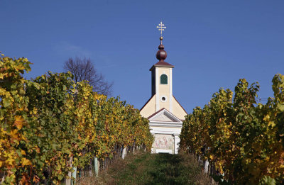 Sausaler Weinstrae1,Styria