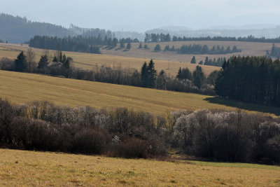 Landscape in Slovakia