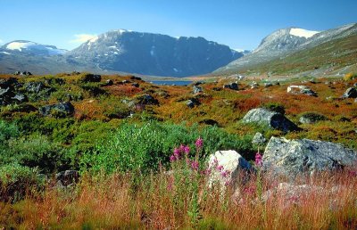 near Geiranger