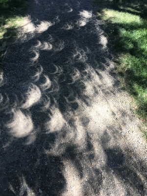 Eclipse shadows