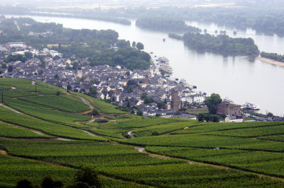 Rudesheim