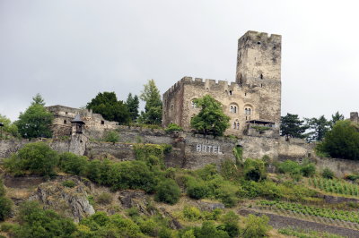 Crusing the Rhine - Gutenfels Castle