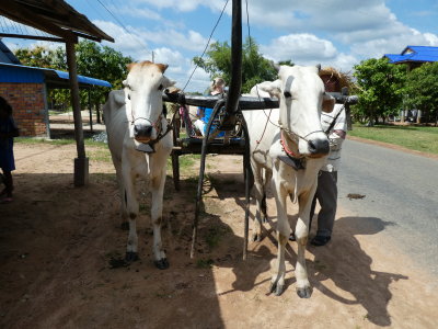 Kampong Tralach, Cambodia