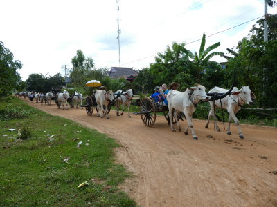 Kampong Tralach - Oxcart ride