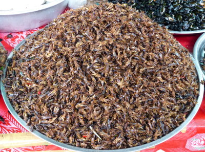 Items for sale at a rest stop - cooked crickets