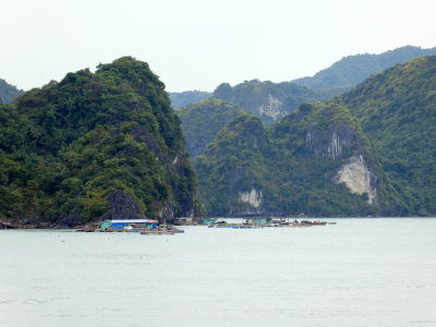 Scenic cruise along Ha Long Bay