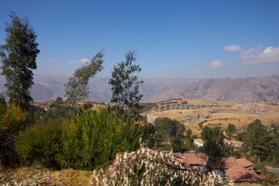 20150805-084735.jpg