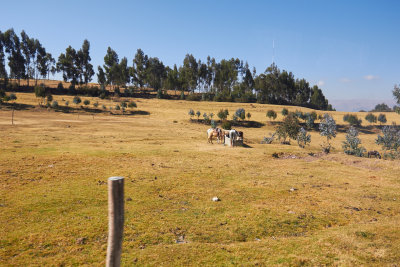 20150805-084847.jpg