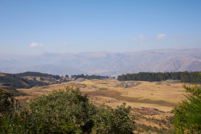 20150805-085149.jpg