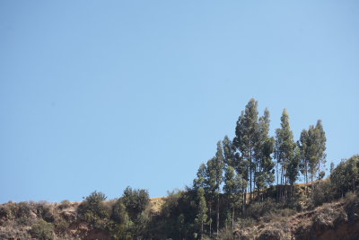 20150805-104246.jpg