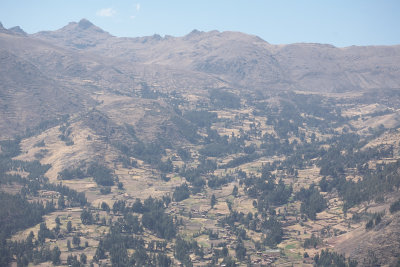 20150805-104727.jpg